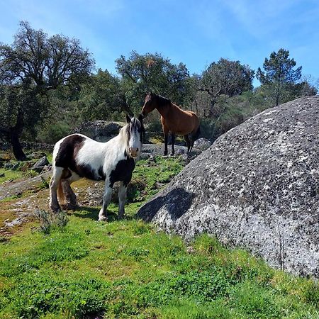 Marvão Magic Nature Lodge מראה חיצוני תמונה