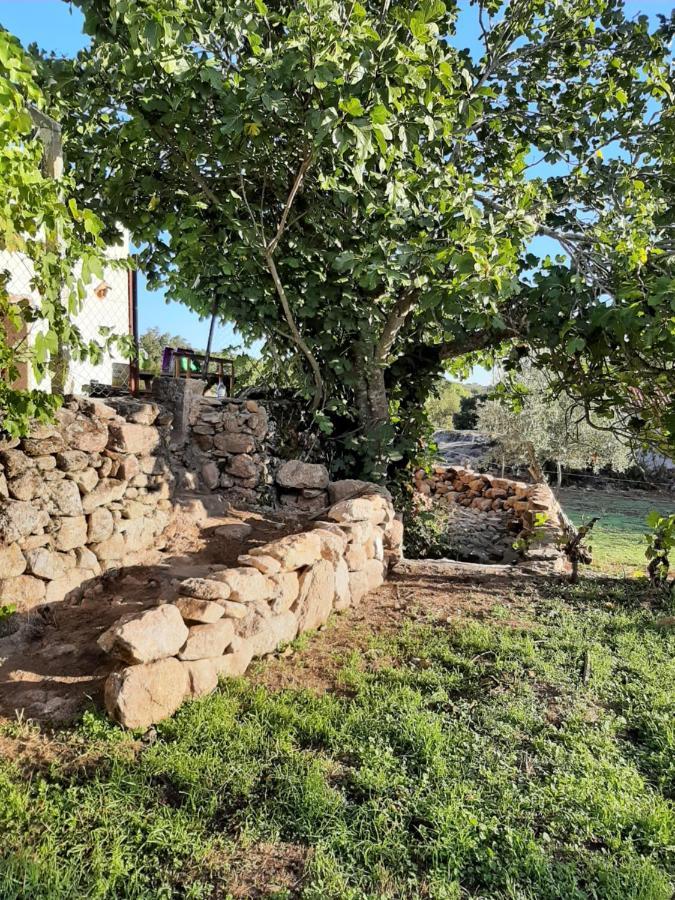 Marvão Magic Nature Lodge מראה חיצוני תמונה
