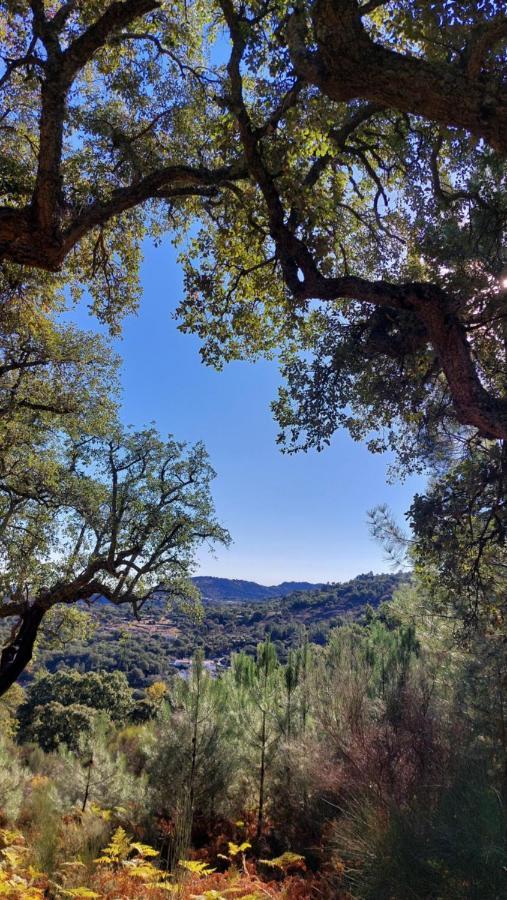 Marvão Magic Nature Lodge מראה חיצוני תמונה