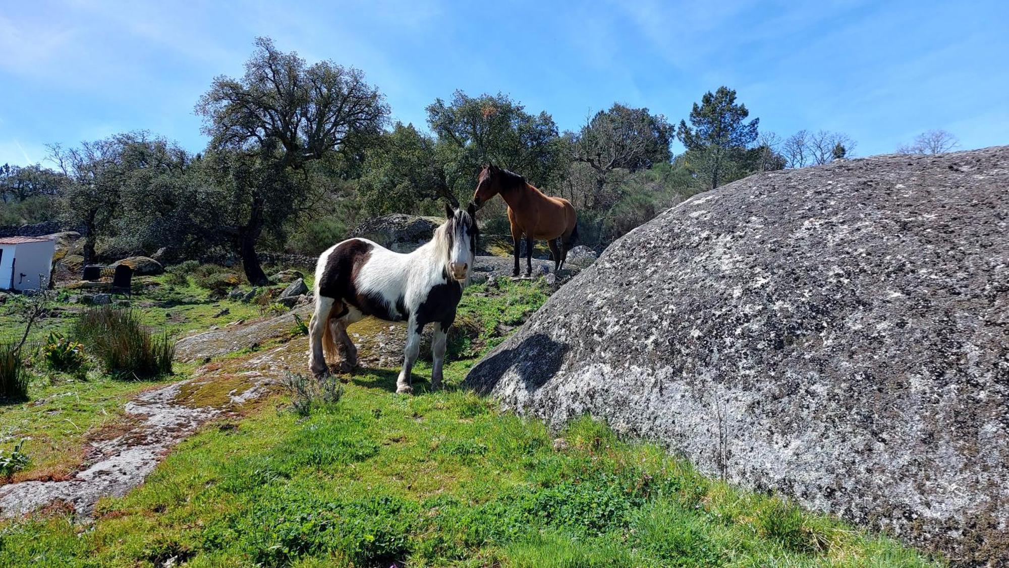 Marvão Magic Nature Lodge מראה חיצוני תמונה